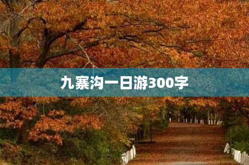 九寨沟一日游300字