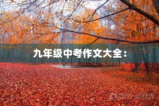 九年级中考作文大全: 九年级中考作文大全: