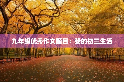 九年级优秀作文题目:我的初三生活 九年级优秀作文题目:我的初三生活