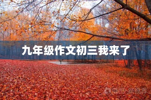 九年级作文初三我来了 九年级作文初三我来了