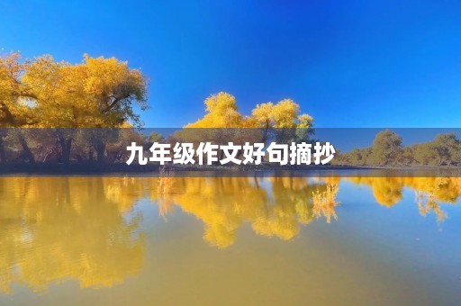 九年级作文好句摘抄 九年级作文好句摘抄