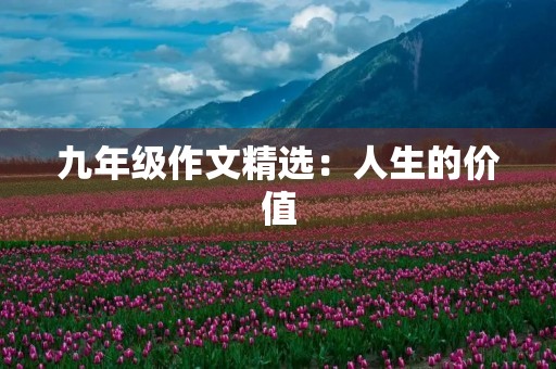 九年级作文精选：人生的价值