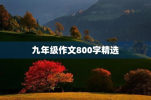 九年级作文800字精选 九年级作文800字精选