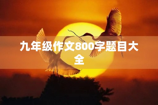 九年级作文800字题目大全