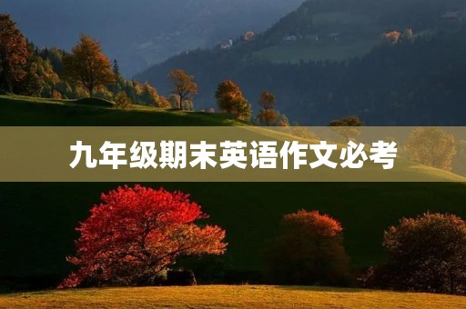 九年级期末英语作文必考