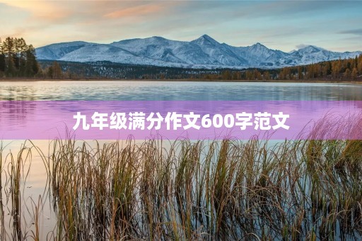 九年级满分作文600字范文