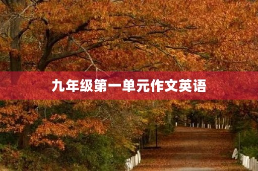 九年级第一单元作文英语
