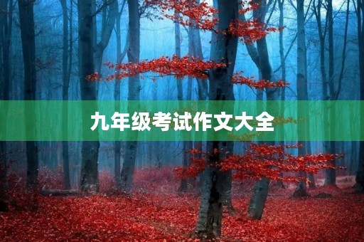 九年级考试作文大全