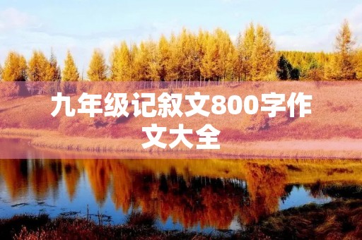 九年级记叙文800字作文大全