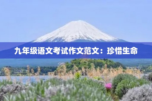 九年级语文考试作文范文:珍惜生命,追求理想 九年级语文考试作文范文:珍惜生命,追求理想