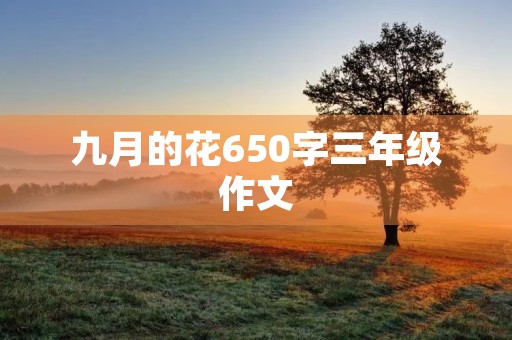 九月的花650字三年级作文 九月的花650字三年级作文