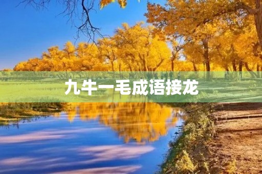九牛一毛成语接龙