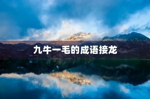 九牛一毛的成语接龙 九牛一毛的成语接龙