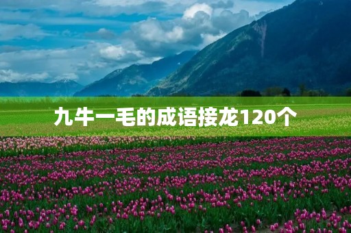 九牛一毛的成语接龙120个