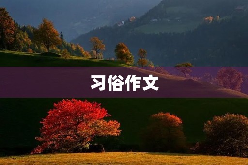 习俗作文 习俗作文