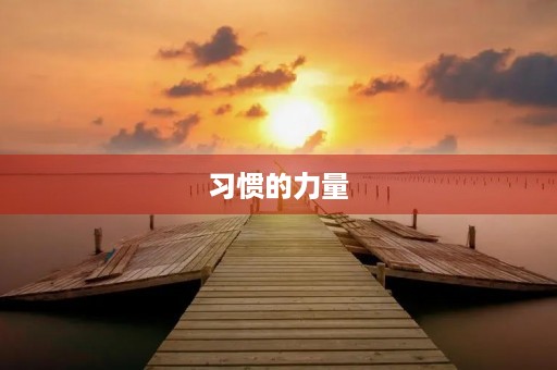 习惯的力量 习惯的力量