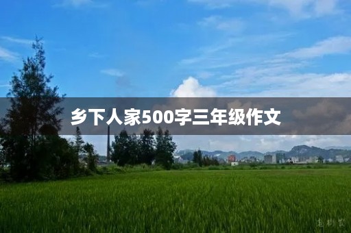 乡下人家500字三年级作文