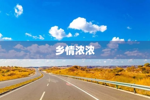 乡情浓浓,情系故乡 乡情浓浓,情系故乡
