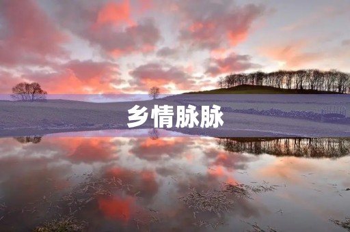 乡情脉脉，心中无限感慨