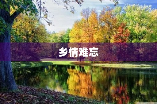 乡情难忘
