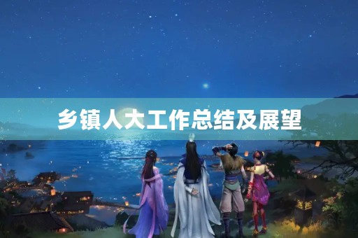 乡镇人大工作总结及展望 乡镇人大工作总结及展望