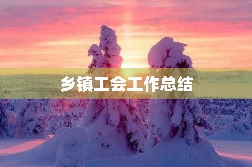 乡镇工会工作总结