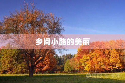 乡间小路的美丽 乡间小路的美丽
