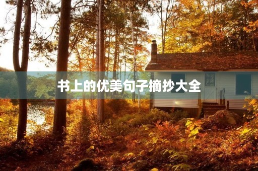 书上的优美句子摘抄大全