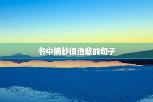 书中摘抄很治愈的句子(书中摘抄很治愈的句子100字)