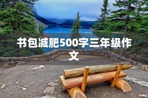 书包减肥500字三年级作文