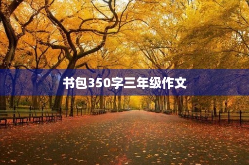 书包350字三年级作文