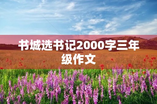 书城选书记2000字三年级作文
