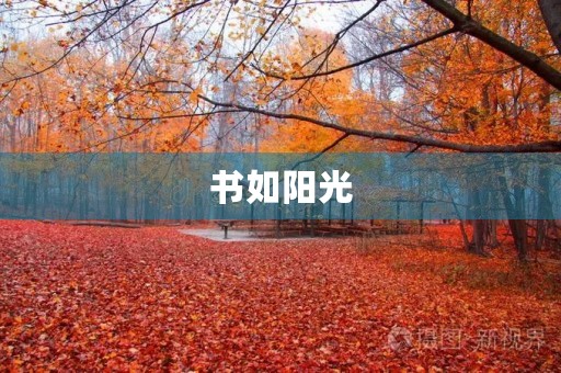书如阳光