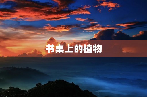 书桌上的植物
