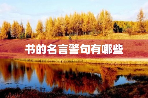 书的名言警句有哪些(表示读书的名言警句有哪些) 书的名言警句有哪些(表示读书的名言警句有哪些)
