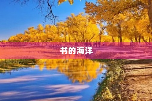 书的海洋
