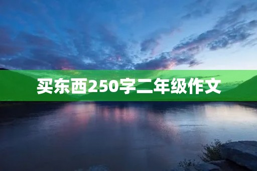 买东西250字二年级作文