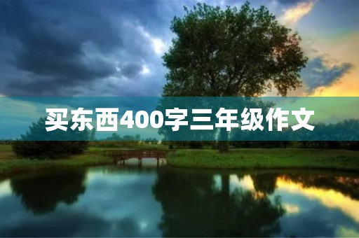 买东西400字三年级作文 买东西400字三年级作文