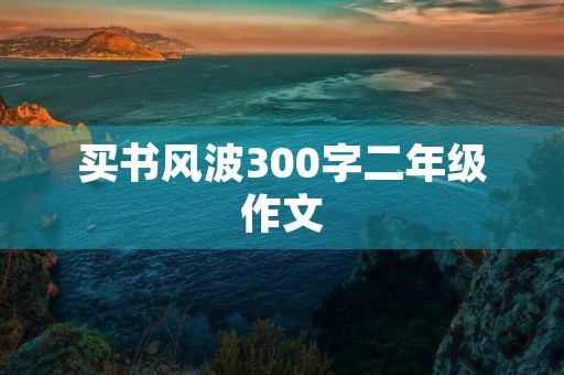 买书风波300字二年级作文