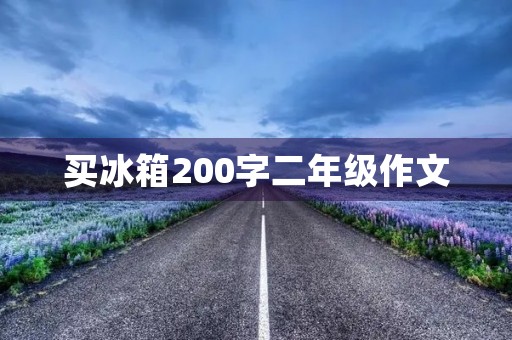 买冰箱200字二年级作文