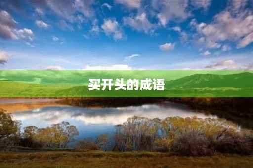 买开头的成语 买开头的成语
