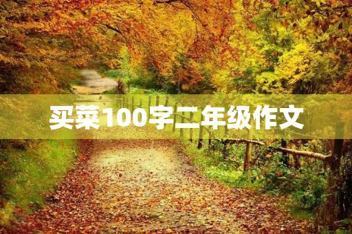 买菜100字二年级作文