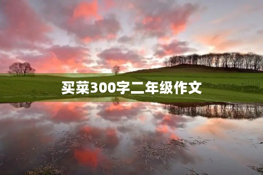 买菜300字二年级作文