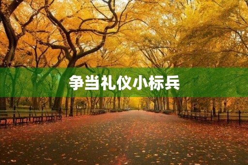 争当礼仪小标兵 争当礼仪小标兵