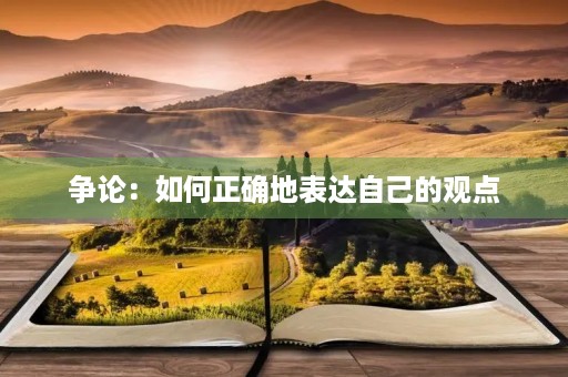 争论：如何正确地表达自己的观点
