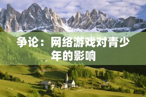 争论：网络游戏对青少年的影响