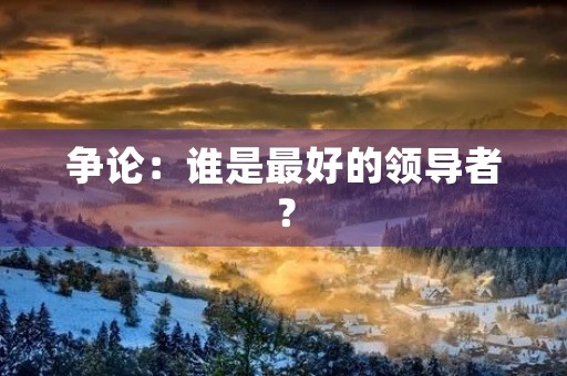 争论：谁是最好的领导者？