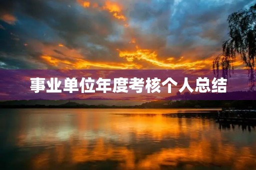 事业单位年度考核个人总结