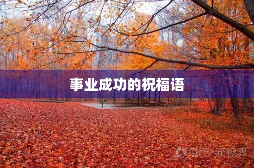 事业成功的祝福语(事业前景越来越好的词)