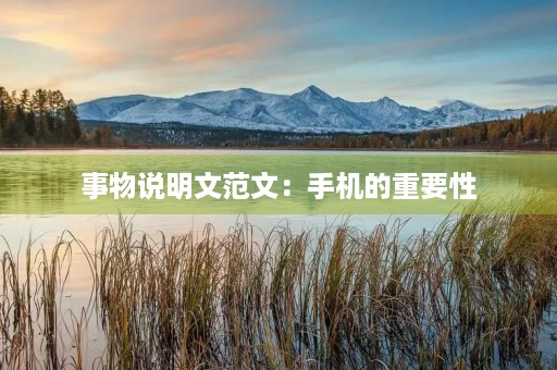 事物说明文范文：手机的重要性